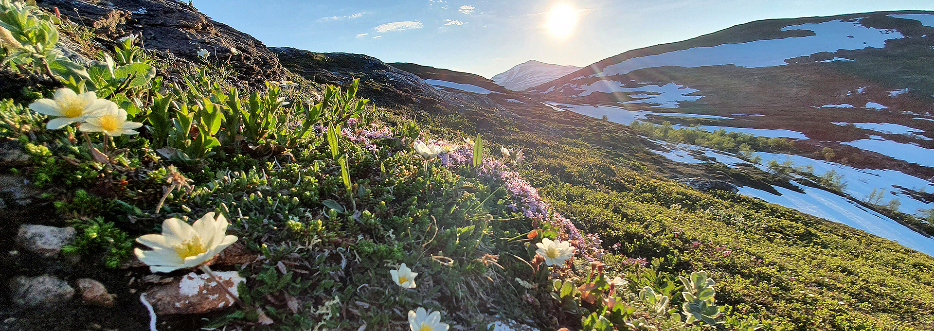 Fotograf: Per-Olov Wikberg Fjällen på sommaren